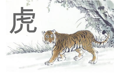 Horóscopo chino Tigre: ¡La personalidad del signo Tigre!